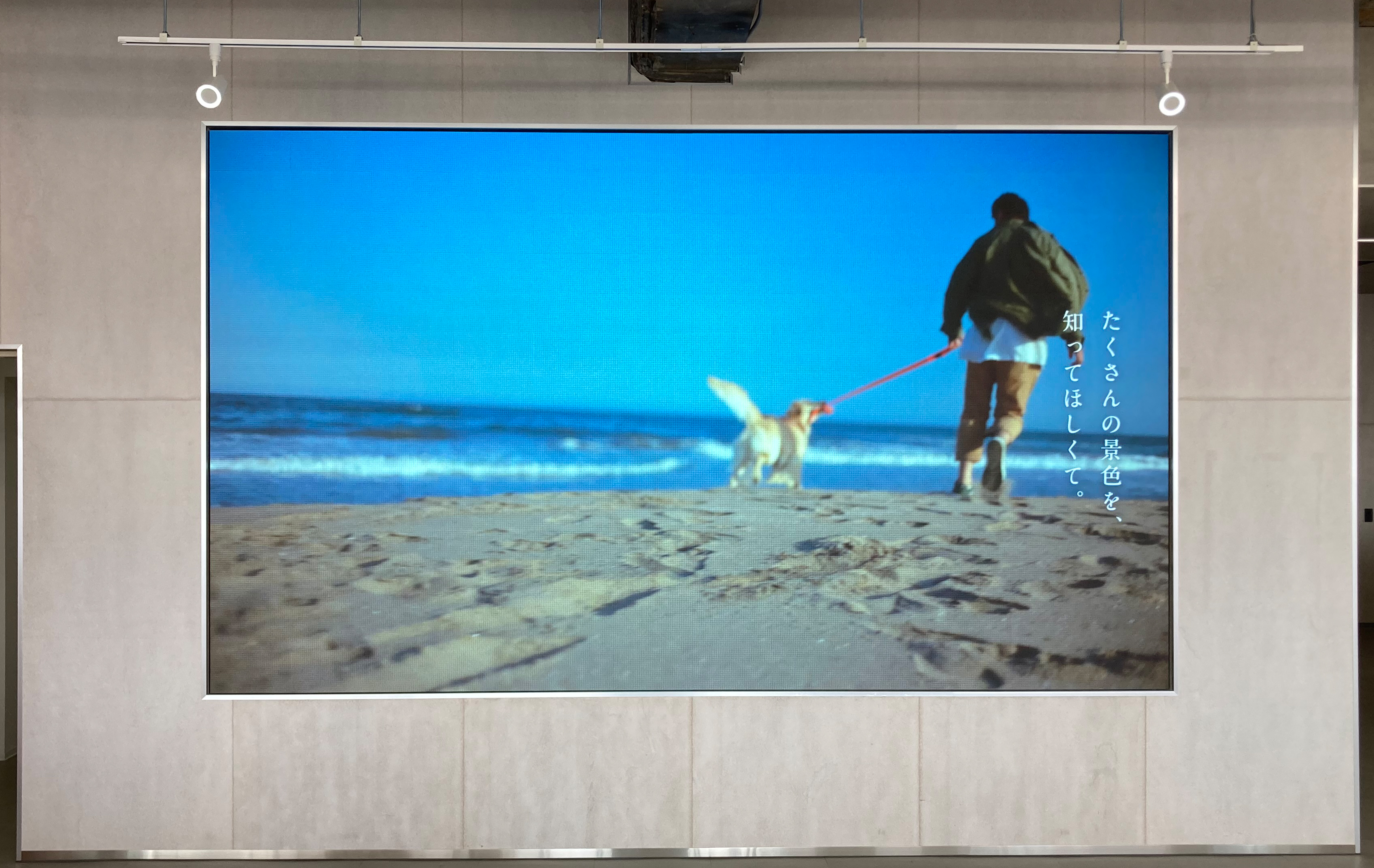 メイン-1.jpg